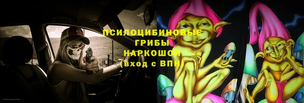 дурь Володарск