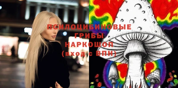 СК Волосово