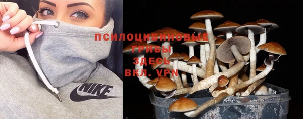дурь Володарск